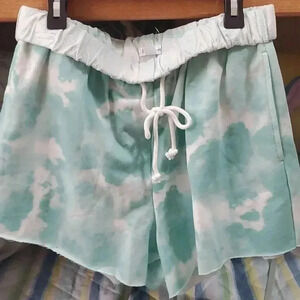 Flirtitude pale mint shorts